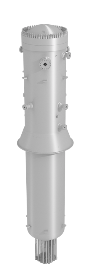 BWXT GEH RPV cutout on a clear background