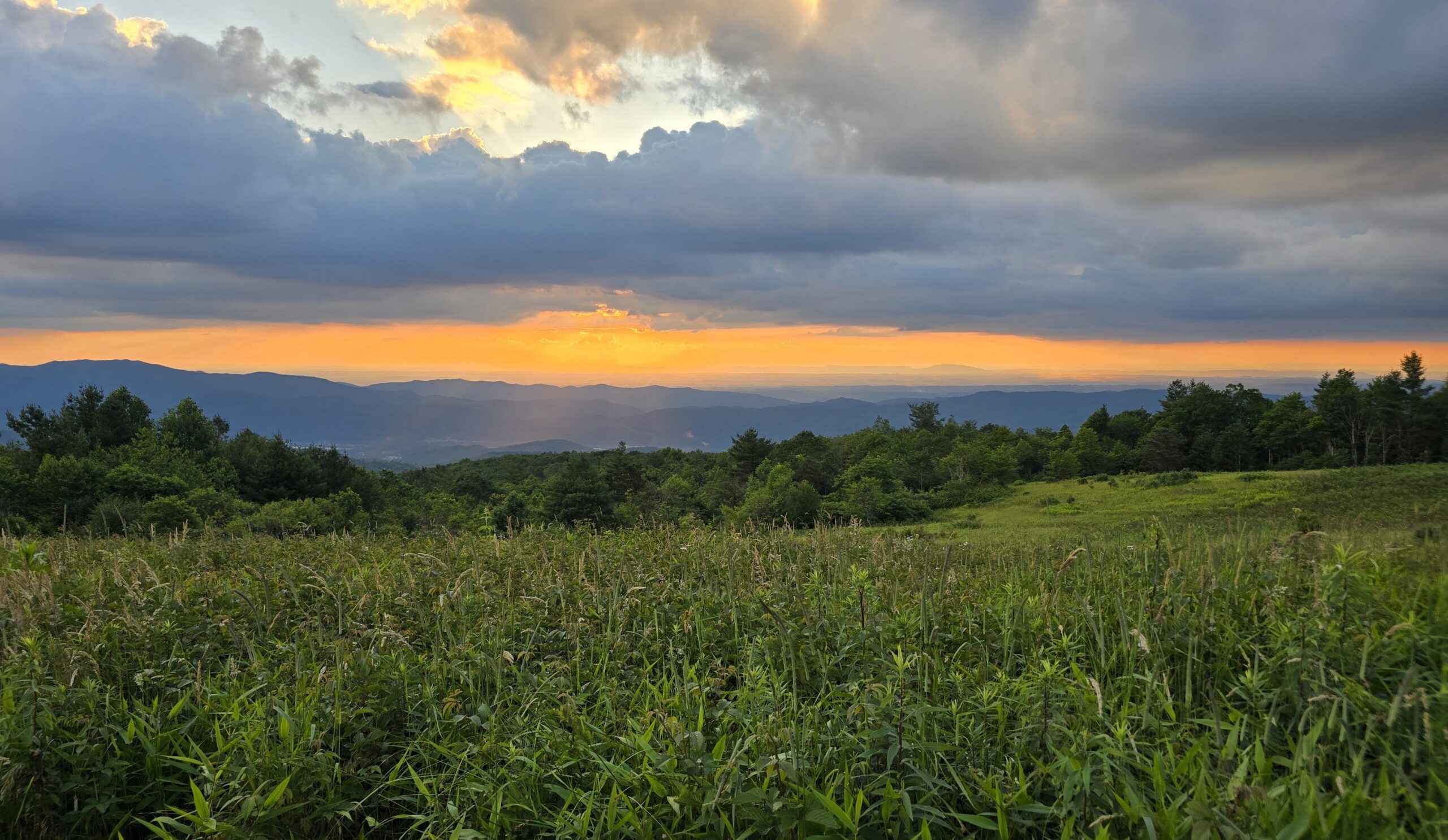 Photo of sunset over mountains and field of plants